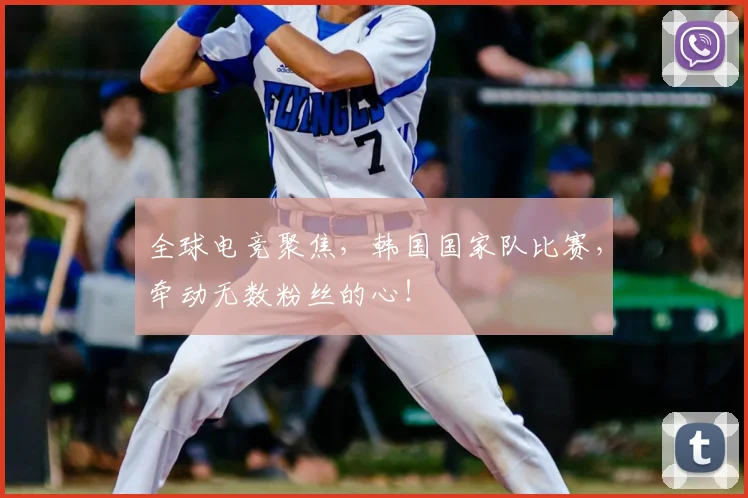 全球电竞聚焦，韩国国家队比赛，牵动无数粉丝的心！